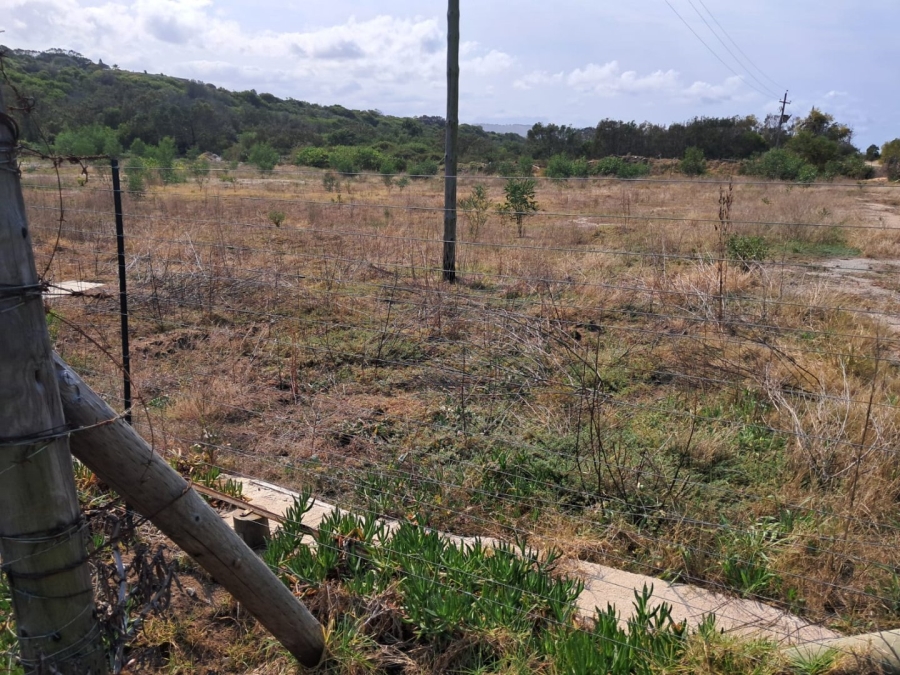  Bedroom Property for Sale in Tergniet Western Cape